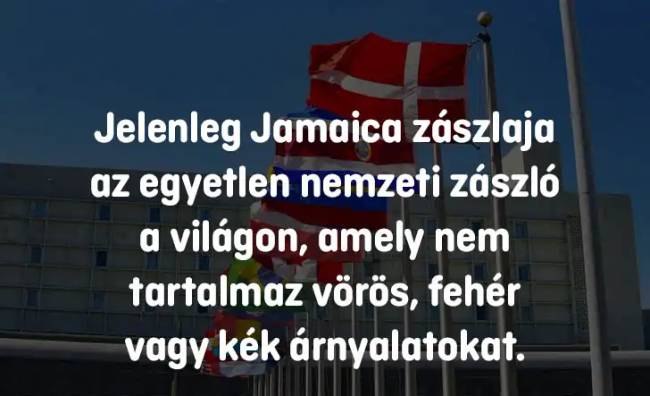 Zaszlo1