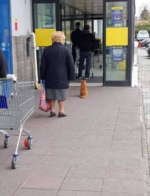 Öröm látni, amikor az emberek és az állatok összedolgoznak.
