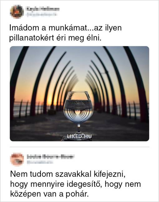17 ember, aki hülyeséget posztolt a neten és az emberek nem hagyták szó nélkül
