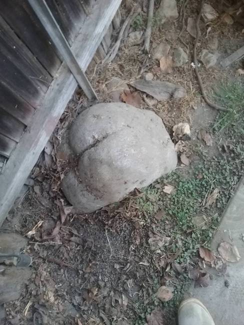 A természet is szereti a vicceket.