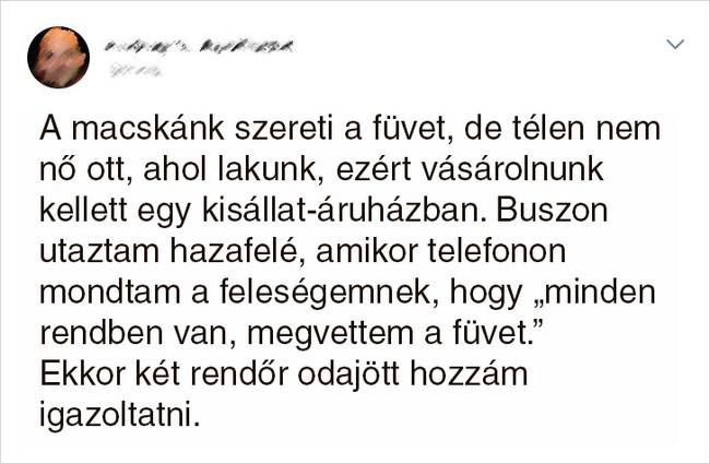 Mindent a macskákért.