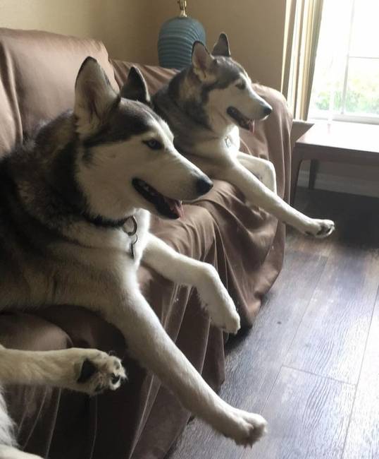 Ctrl+C, Ctrl+V