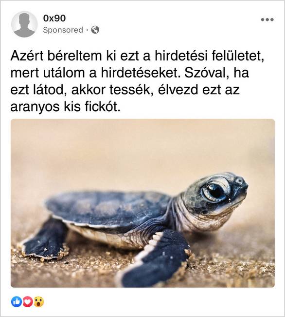 Ez is a Facebook-hirdetések elleni küzdelem egyik módja.