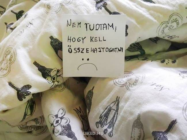 Egy kétségbeesett férj segélykiáltása…😜
