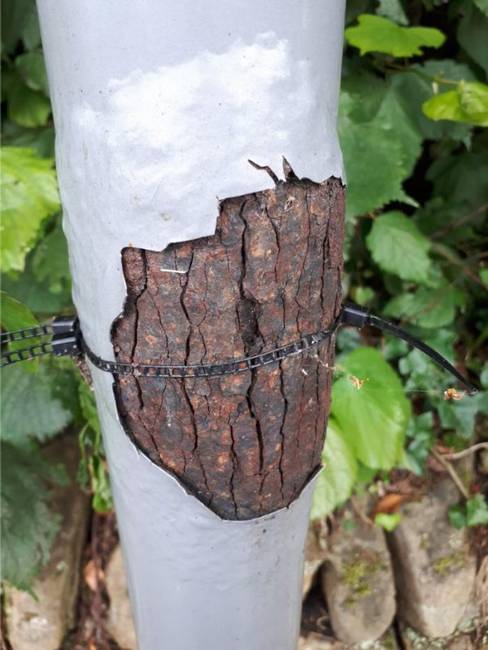 „Ez a rozsdás buszmegálló oszlop épp úgy néz ki, mint egy fatörzs."
