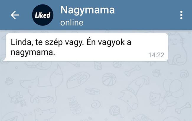 „Nagymamám 78 éves és élete nagy részét Kínában töltötte. Most magyarul tanul, melynek eredményeképpen random ilyen üzeneteket kapok tőle...”