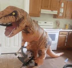 „Ma egy dinoszaurusz segített felújítani a konyhámat."