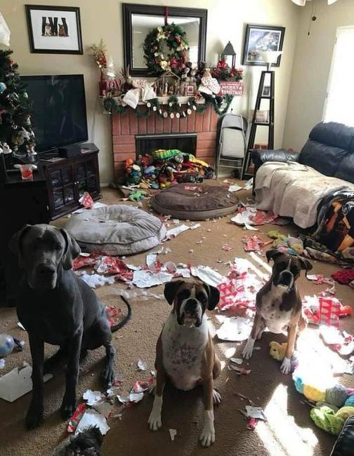 „Feliz Navidad, gazdi!"