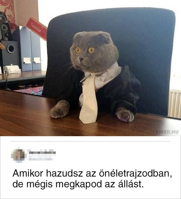 20 megjegyzés olyan emberektől, akiknek a fejében éjjel-nappal szarkasztikus gondolatok kavarognak