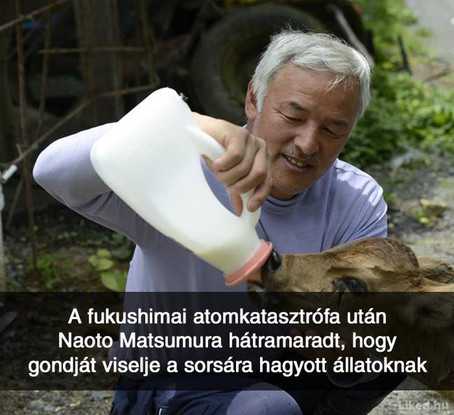 20+ örömteli tény, ami után teljesen más szemmel nézel majd a világra