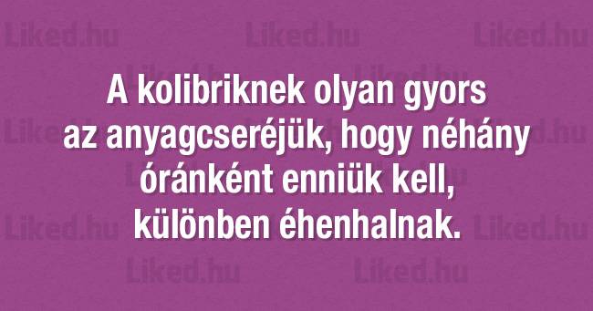21 furcsa és szokatlan tény a világunkról, amitől garantáltan le fog esni az állad