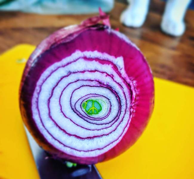 Békeszimbólum egy lilahagyma belsejében.