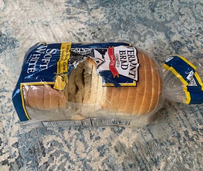 „A macskám éhes volt és megette a kenyeret, amit ma reggel vettem."