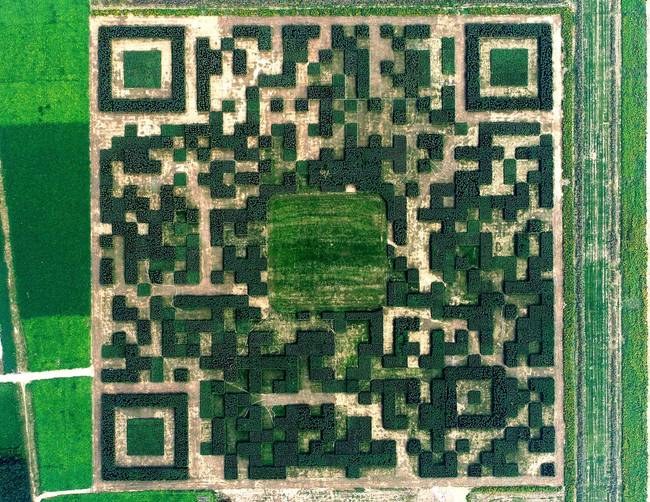 Növényekből készült óriás QR-kód.