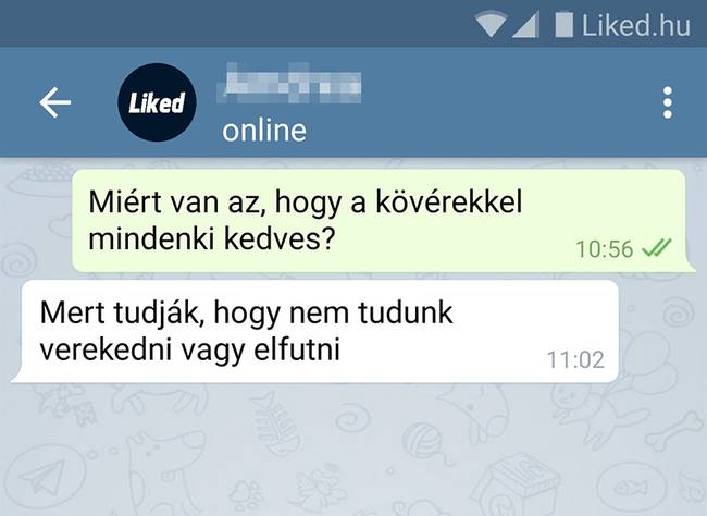 12 ember, aki bármire képes választ adni