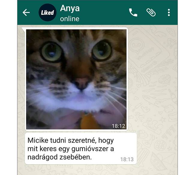 A kérdés, ami mindenkit izgat… 😀