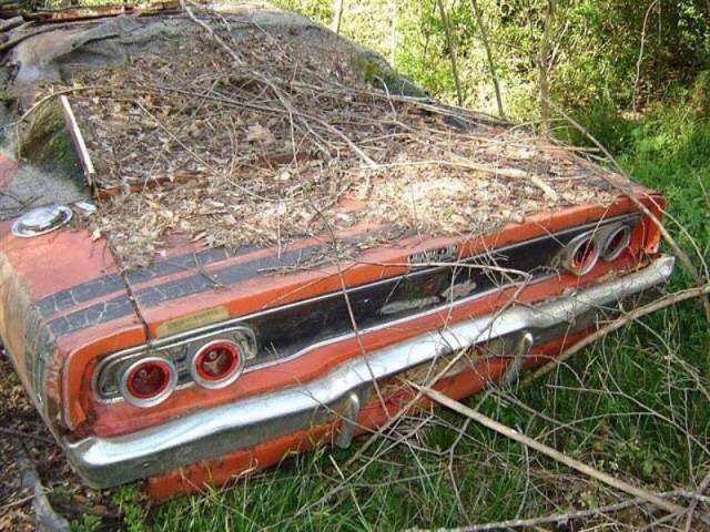 Dodge Charger
