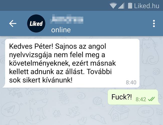 12 ember, aki bármire képes választ adni