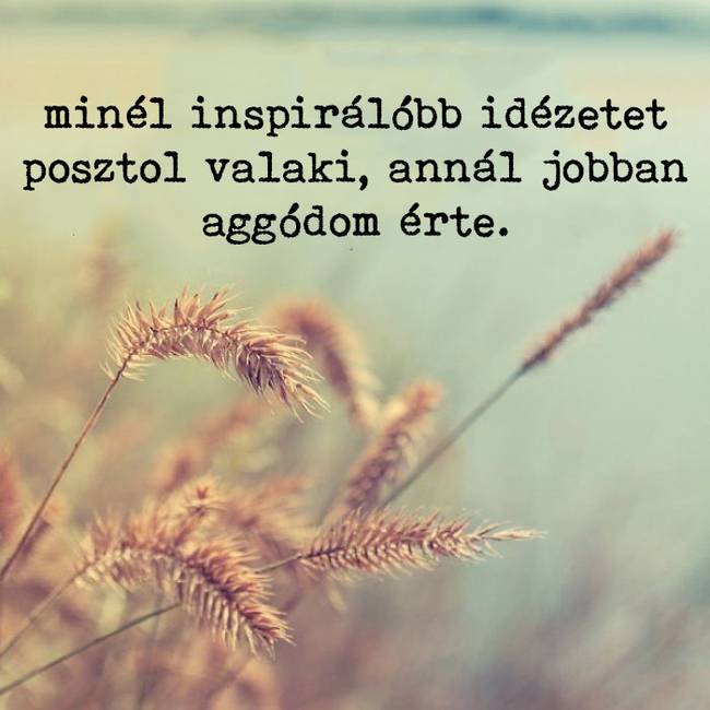 20+ uninspiráló idézet azoknak, akik unják már a végtelenül pozitív baromságokat