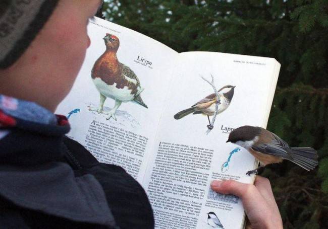 Így mindjárt könnyebb a természetjáró élete.