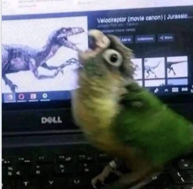 28 fényképes bizonyíték arra, hogy az Univerzumnak kiváló humorérzéke van