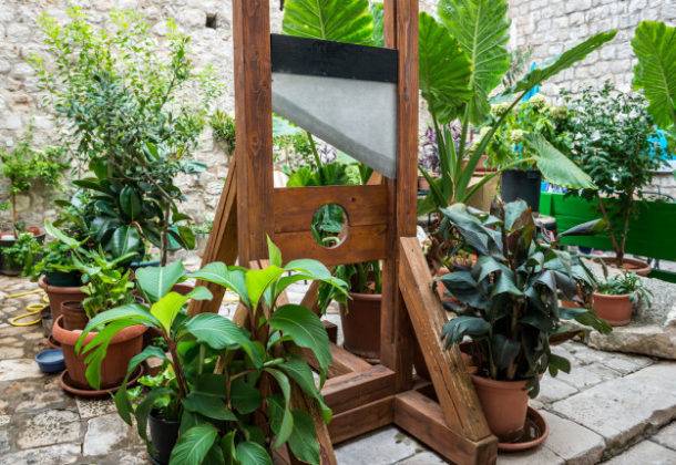 Amikor a Csillagok háborúja IV. részét bemutatták Amerikában, Franciaországban még embereket végeztek ki guillotine segítségével. (1977 volt ez az év)