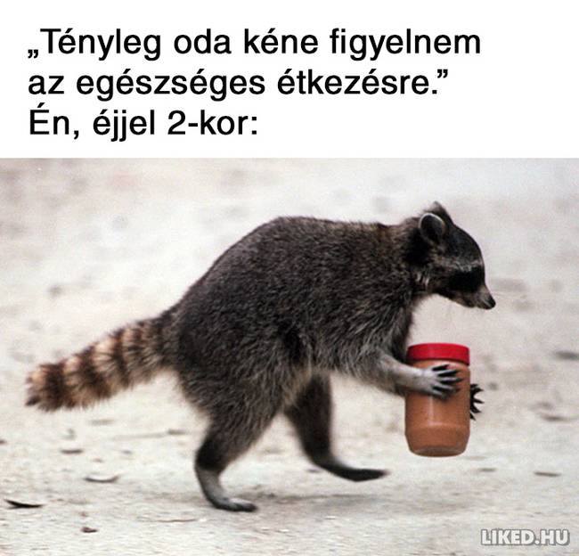 21 fogyókúrázással kapcsolatos mém, ami többet mond minden szónál