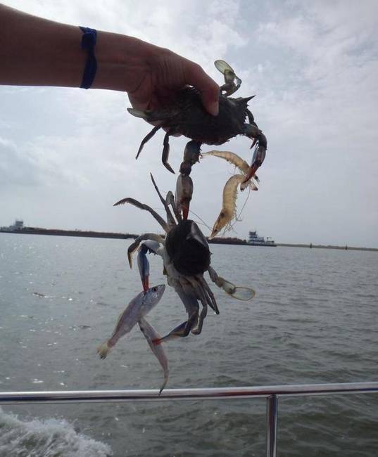 Ez a halász kifogott egy rákot, ami ki fogott két garnélarákot, és egy másik rákot, ami kifogott két halat. Wow.