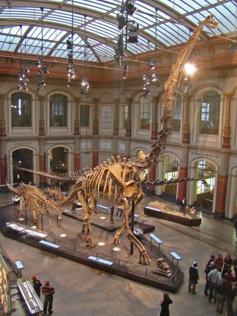 Dinoszauruszok történelem régészet 022