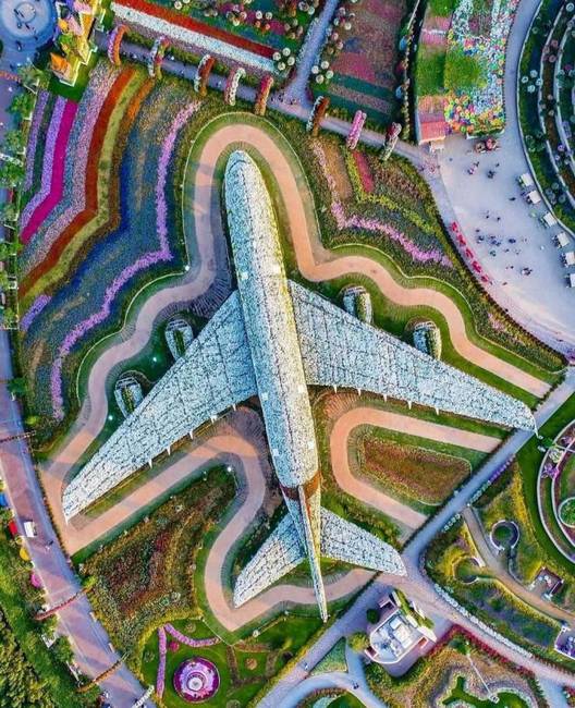 A dubaji Miracle Gardenben van egy Emirates A380-as repülőgép, virágokból.