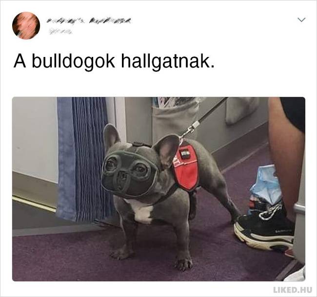 21 Tweet olyan emberektől, akiknek a humorérzéke olyan hatalmas, hogy a Holdról is látható