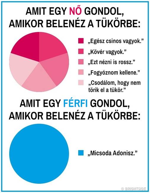 15 kördiagram, mely remekül summázza a férfi és női nem közti ordító különbségeket