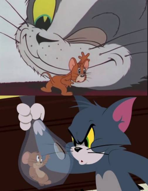 Tom és Jerry