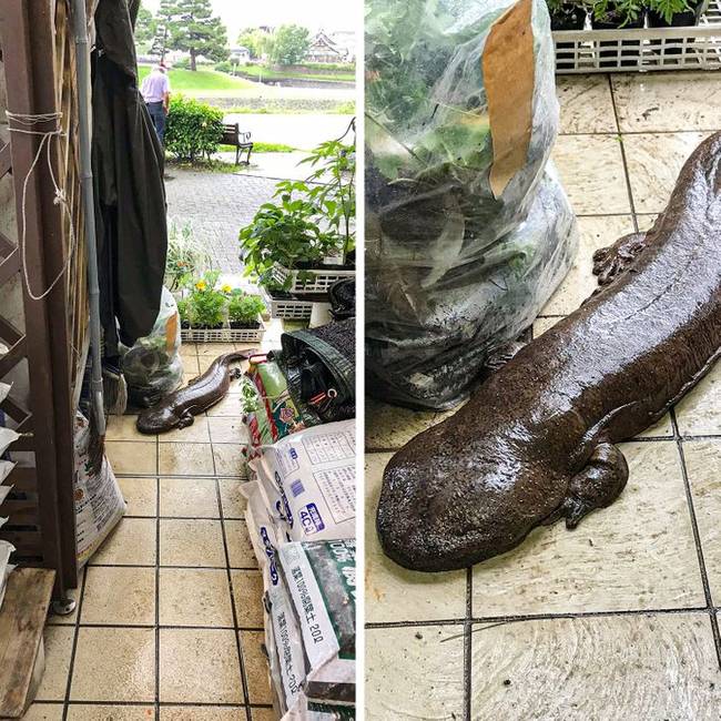 „Az árvíz után egy vendég jött az üzletünkbe."