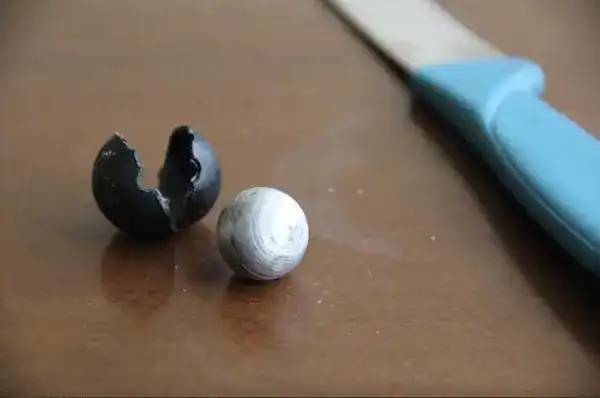 27 lenyűgöző fotó: mi rejtőzik a hétköznapi tárgyak belsejében?
