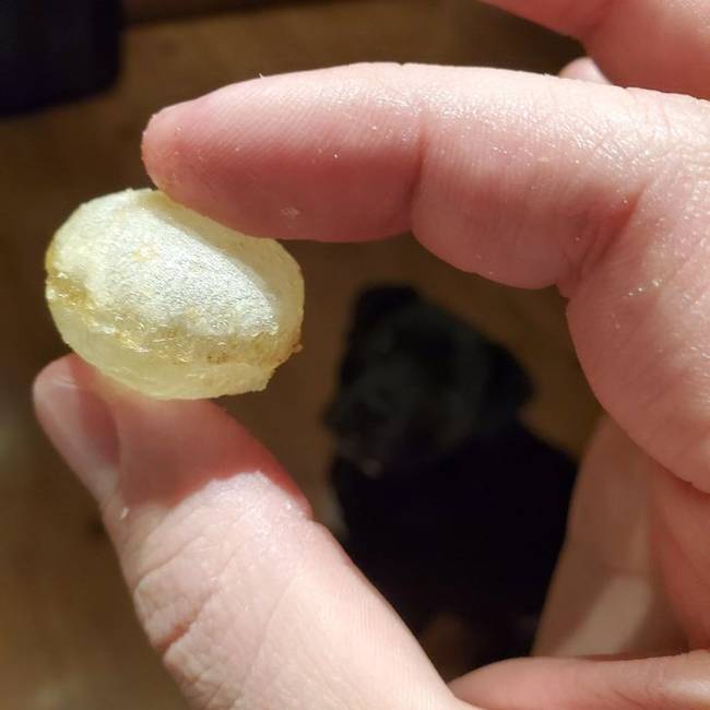 Ez egy szem chips, ami tele van levegővel.