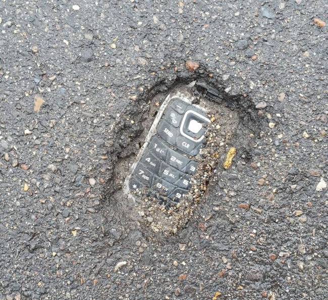 „Egy "kőkorszaki" leletre bukkantam a helyi kisállatbolt parkolójában."