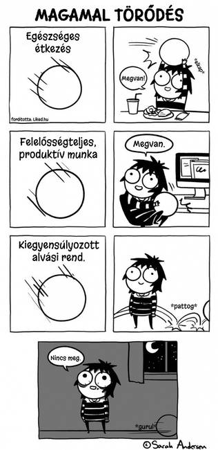 14 humoros képregény a független és felelősségteljes felnőtt életről