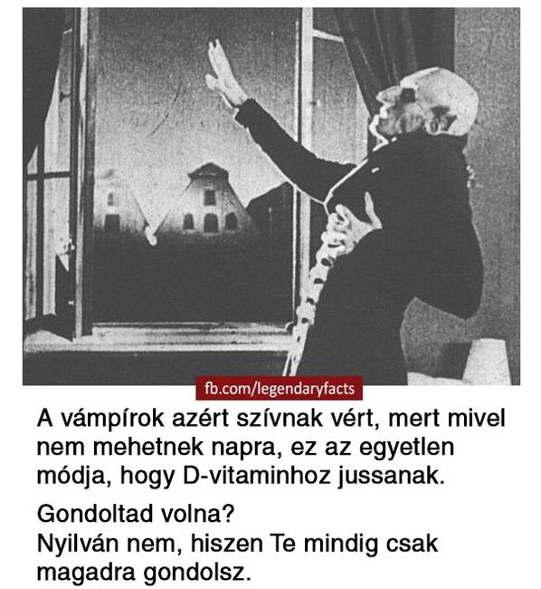 20 vicces tény a világról, melyek akár igazak is lehetnének