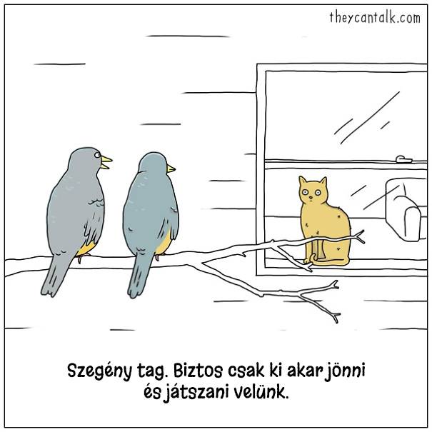 14 képregény, ami megmutatja, hogy milyen lenne a világ, ha a madarak beszélni tudnának
