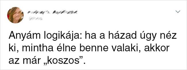 Nem lehet annyit takarítani, hogy megfeleljünk vele az édesanyák elvárásának.