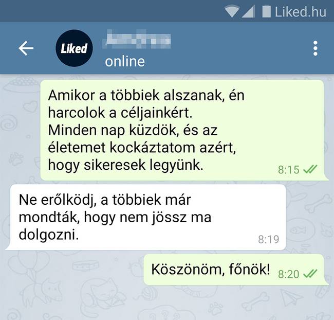 12 ember, aki bármire képes választ adni