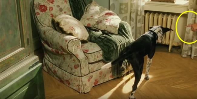 A minden6ó című filmben látható, ahogy a stáb egyik tagja a kezével ad utasításokat a kutyának.