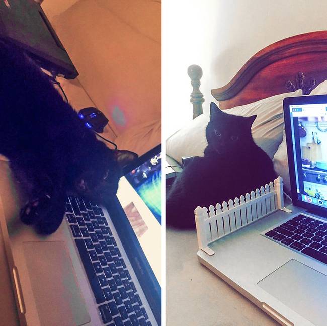 „A macskánk folyamatosan ráfekszik a laptop billentyűzetére, ezért a barátom elegáns megoldást talált a problémára."