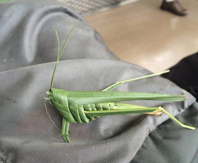 Hiszed vagy sem, ez egy origami-szöcske.