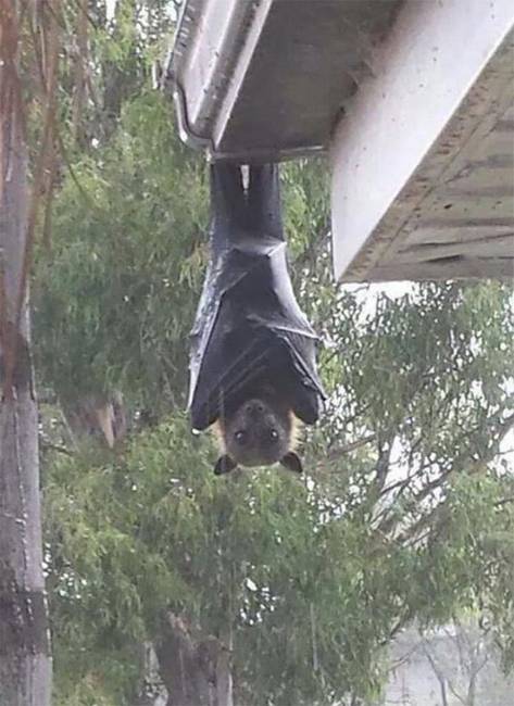 Nem, ez nem egy képkocka az új Batman filmből.