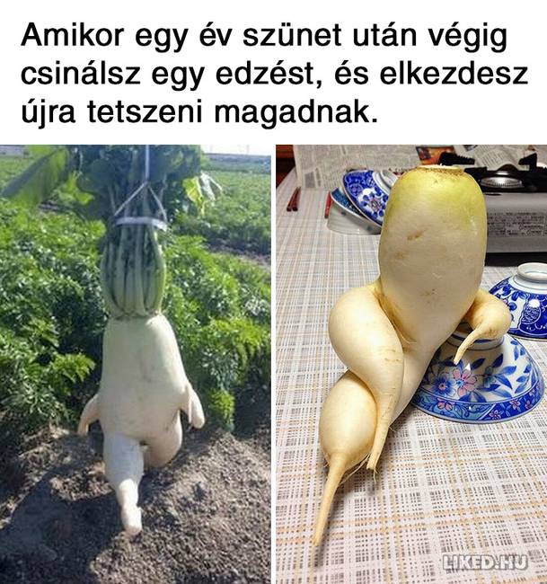 21 fogyókúrázással kapcsolatos mém, ami többet mond minden szónál