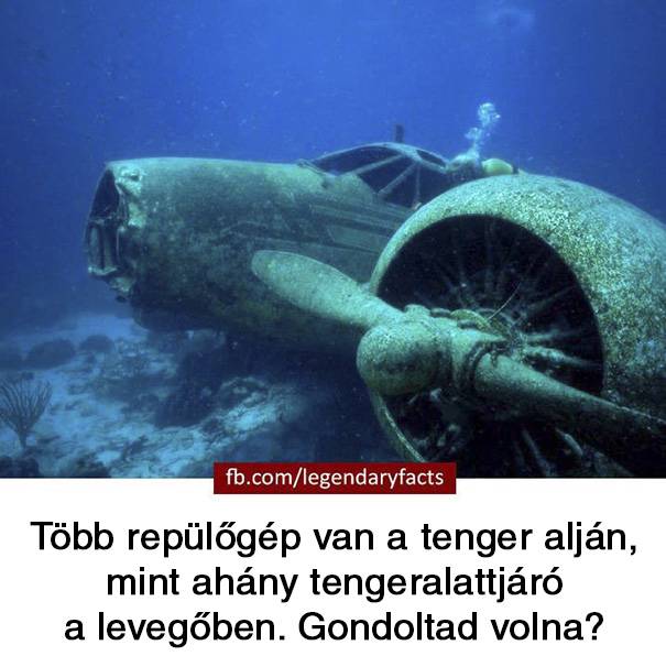 20 vicces tény a világról, melyek akár igazak is lehetnének