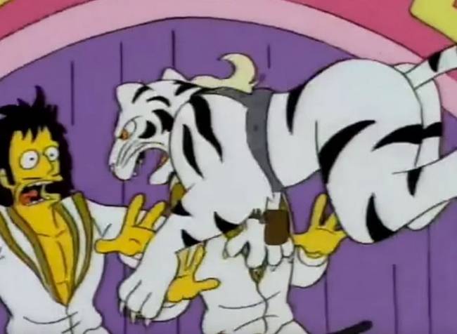Siegfried &amp; Roy tigristámadása.