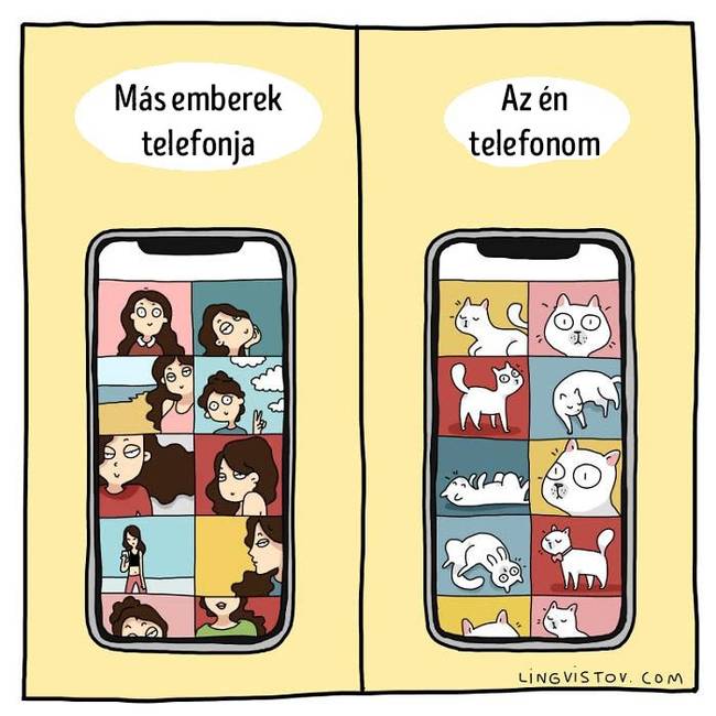Egy macska mellé nagy telefontárhely is kell.